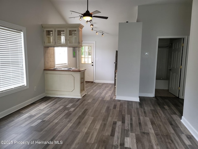 18499 Shady Side Dr, Brooksville, FL 34601 - unfurnished living room featuring ceiling fan, vaulted ceiling, and dark wood-style flooring