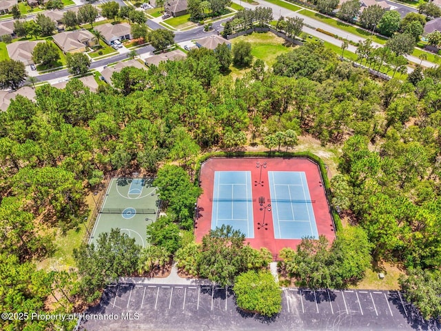 4481 Birchfield Loop, Spring Hill, FL 34609 - photo 57