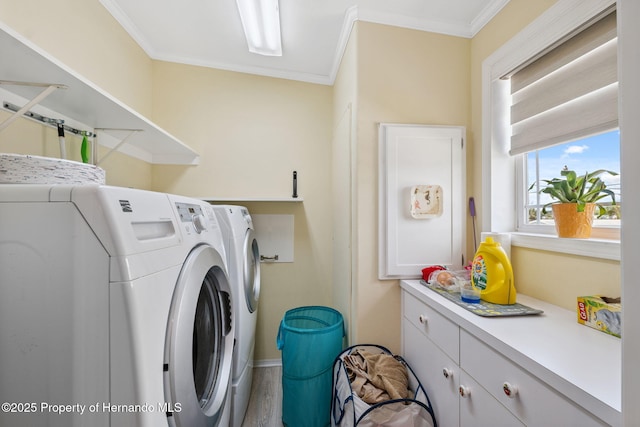 13027 Beacon Ct, Hudson, FL 34667 - laundry area with washing machine and clothes dryer, ornamental molding, wood finished floors, and cabinet space