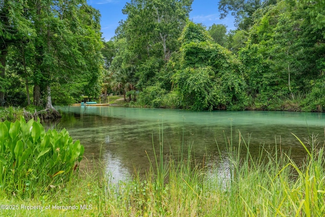 6572 River Run Blvd, Spring Hill, FL 34607 - photo 23