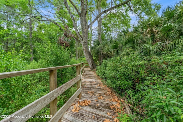 6572 River Run Blvd, Spring Hill, FL 34607 - photo 30