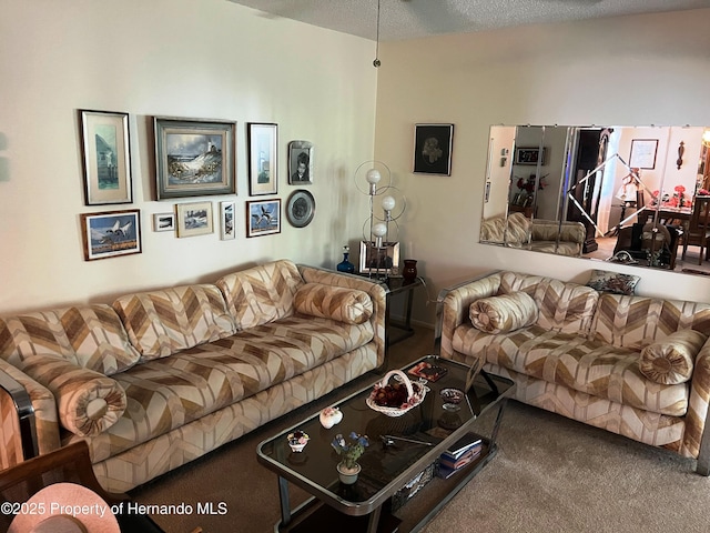 9474 Nakoma Way, Weeki Wachee, FL 34613 - living area featuring carpet floors