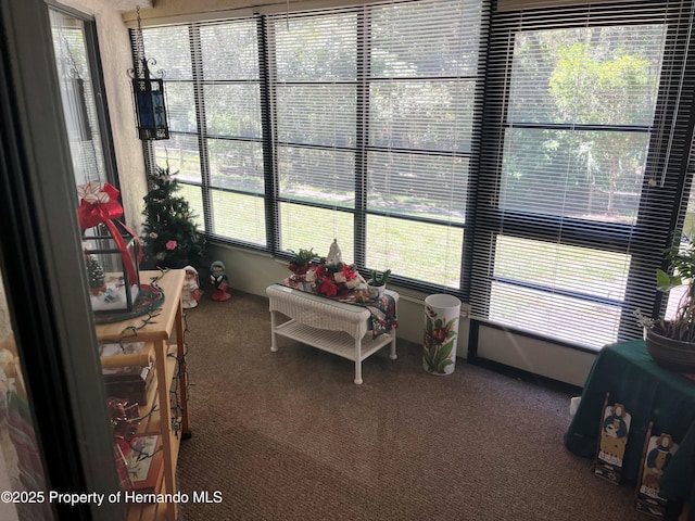 9474 Nakoma Way, Weeki Wachee, FL 34613 - view of sunroom / solarium