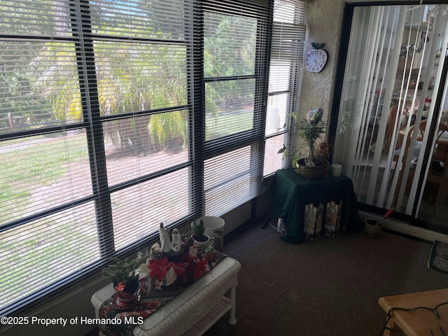 9474 Nakoma Way, Weeki Wachee, FL 34613 - sunroom featuring plenty of natural light and carpet