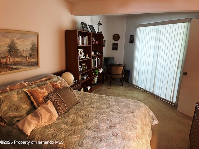 9474 Nakoma Way, Weeki Wachee, FL 34613 - view of carpeted bedroom
