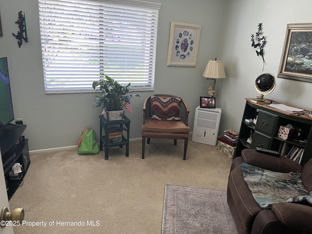 9474 Nakoma Way, Weeki Wachee, FL 34613 - living area featuring carpet flooring and baseboards