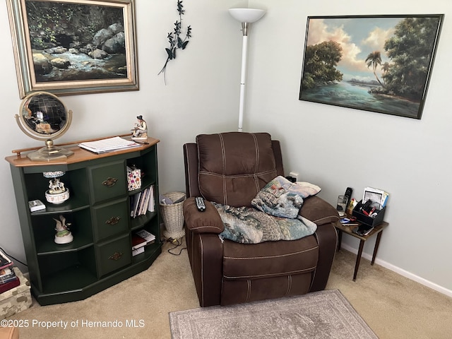 9474 Nakoma Way, Weeki Wachee, FL 34613 - living area with carpet flooring and baseboards