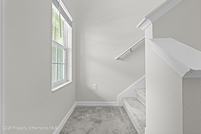 81 Rain Lily Ave, Spring Hill, FL 34609 - photo 25