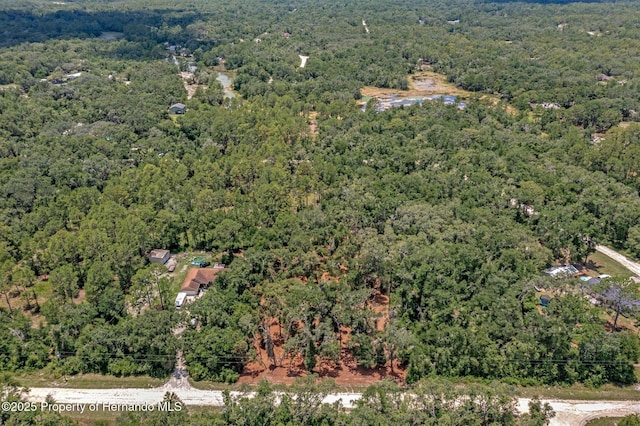 00 Ruby Ave, Webster, FL 33597