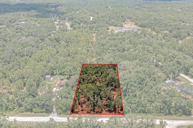 00 Ruby Ave, Webster, FL 33597
