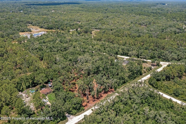 00 Ruby Ave, Webster, FL 33597