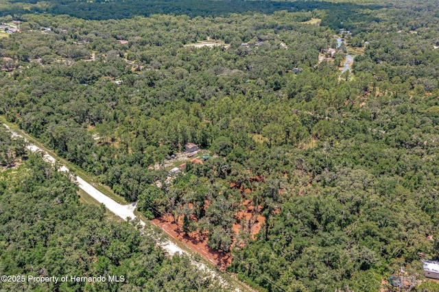 00 Ruby Ave, Webster, FL 33597