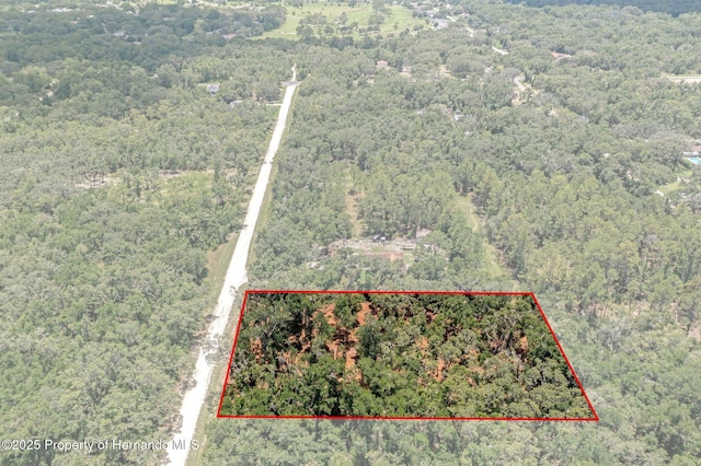 00 Ruby Ave, Webster, FL 33597