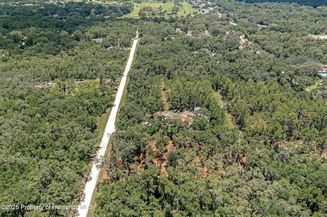00 Ruby Ave, Webster, FL 33597
