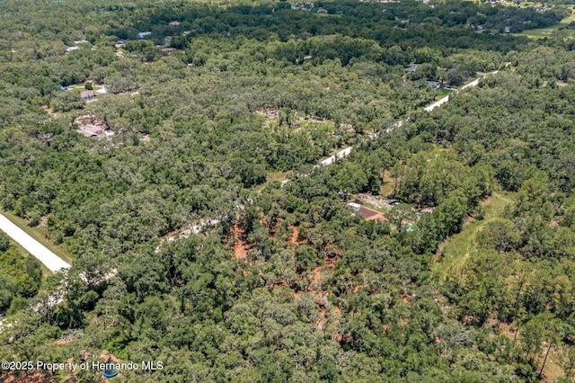 00 Ruby Ave, Webster, FL 33597