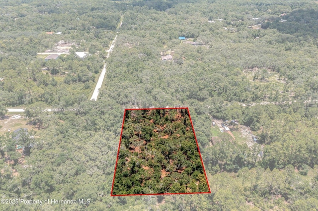 00 Ruby Ave, Webster, FL 33597