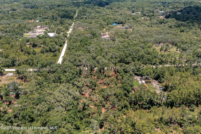 00 Ruby Ave, Webster, FL 33597