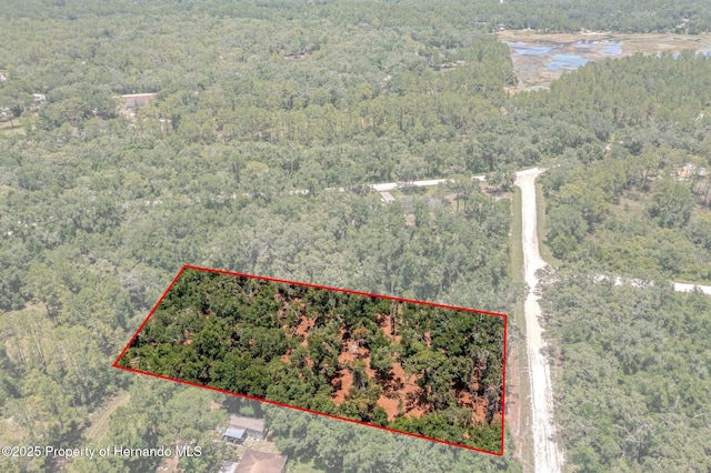 00 Ruby Ave, Webster, FL 33597
