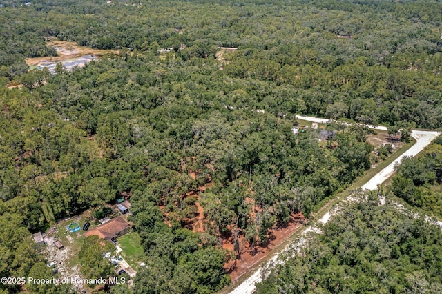 00 Ruby Ave, Webster, FL 33597