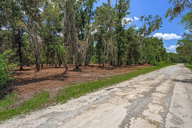 00 Ruby Ave, Webster, FL 33597
