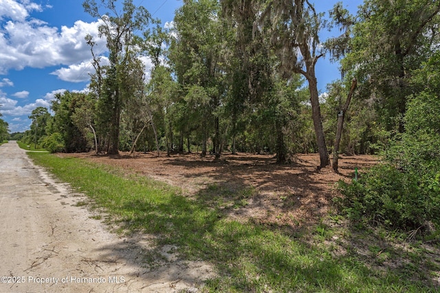 00 Ruby Ave, Webster, FL 33597