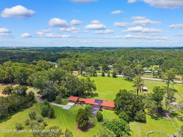 20480 Lake Lindsey Rd, Brooksville, FL 34601 - bird's eye view of a heavily wooded area