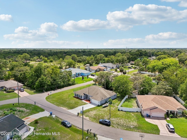 2251 Evenglow Ave, Spring Hill, FL 34609 - photo 84