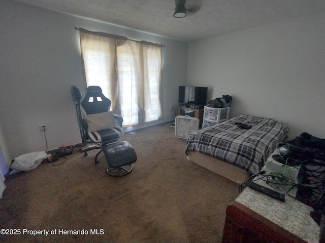 2419 Appian Ave, Spring Hill, FL 34608 - bedroom with carpet floors
