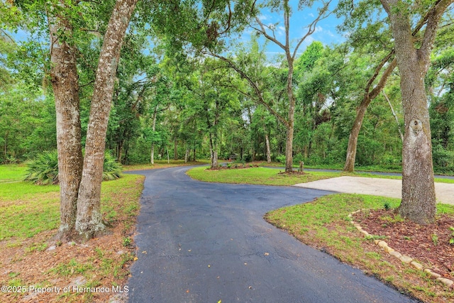 22460 Chenoak Rd, Brooksville, FL 34602 - photo 29