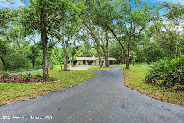 22460 Chenoak Rd, Brooksville, FL 34602 - photo 31