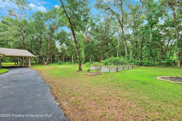 22460 Chenoak Rd, Brooksville, FL 34602 - photo 32
