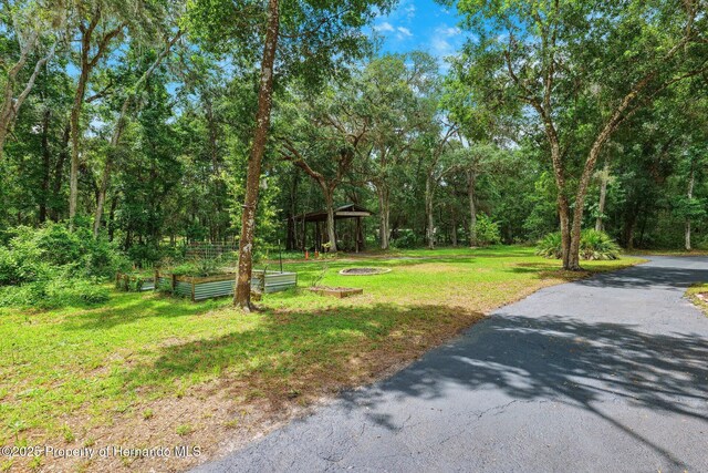 22460 Chenoak Rd, Brooksville, FL 34602 - photo 39