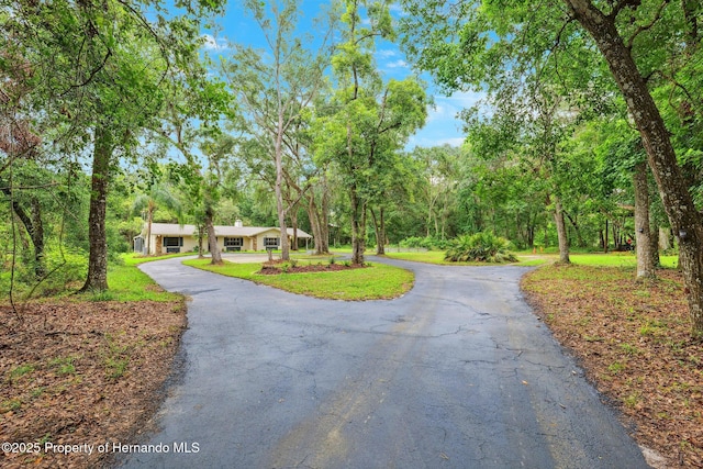 22460 Chenoak Rd, Brooksville, FL 34602 - photo 40