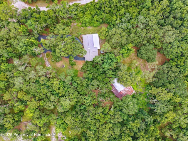 22460 Chenoak Rd, Brooksville, FL 34602 - photo 43