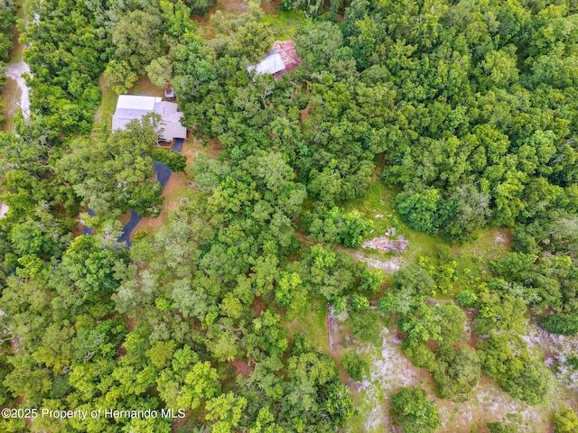 22460 Chenoak Rd, Brooksville, FL 34602 - photo 44