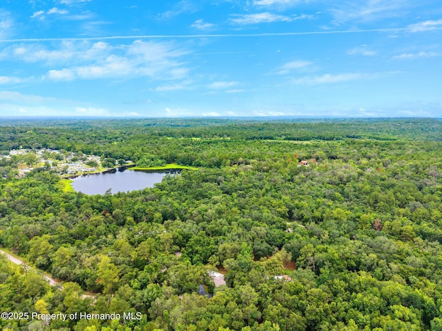 22460 Chenoak Rd, Brooksville, FL 34602 - photo 47