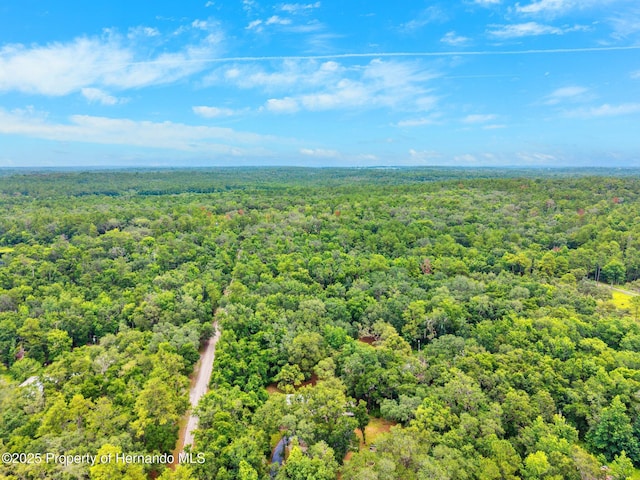 22460 Chenoak Rd, Brooksville, FL 34602 - photo 48