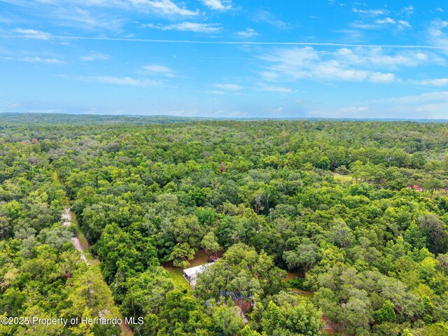 22460 Chenoak Rd, Brooksville, FL 34602 - photo 49