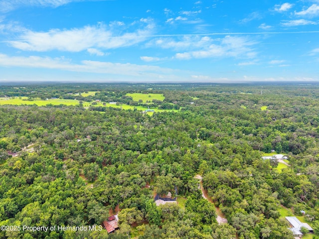 22460 Chenoak Rd, Brooksville, FL 34602 - photo 50