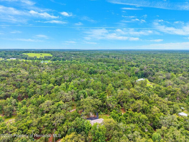 22460 Chenoak Rd, Brooksville, FL 34602 - photo 51