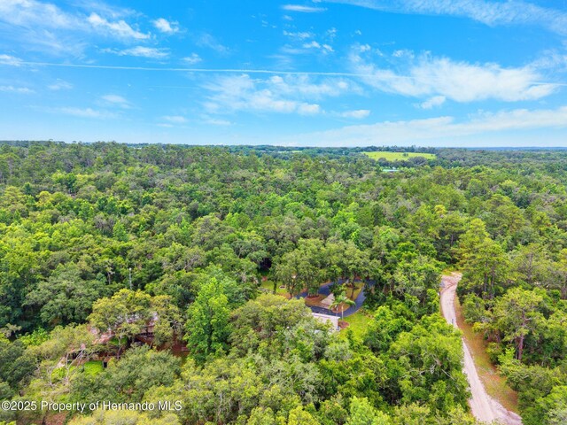 22460 Chenoak Rd, Brooksville, FL 34602 - photo 52