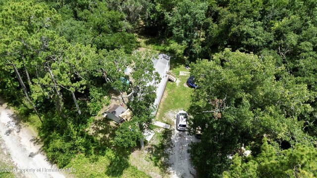 22460 Chenoak Rd, Brooksville, FL 34602 - photo 61