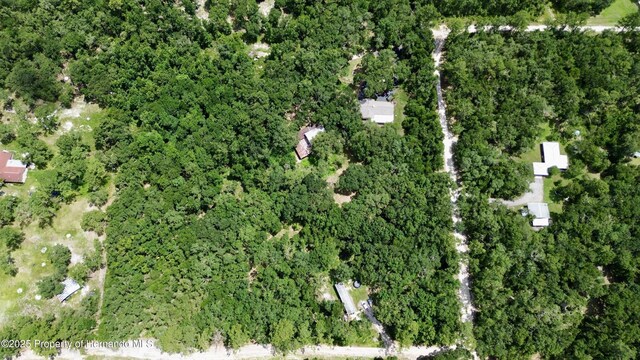 22460 Chenoak Rd, Brooksville, FL 34602 - photo 62