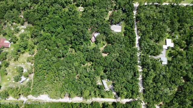 22460 Chenoak Rd, Brooksville, FL 34602 - photo 64