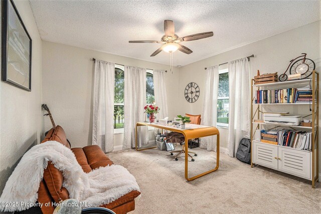 5472 Birchwood Rd, Spring Hill, FL 34608 - photo 18