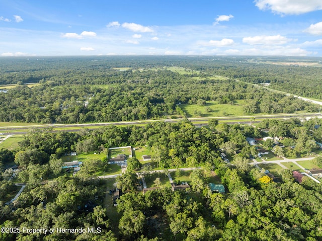 33399 Ohio Ave, Dade City, FL 33523 - photo 32