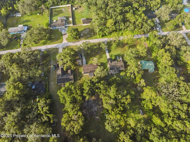 33399 Ohio Ave, Dade City, FL 33523 - photo 33