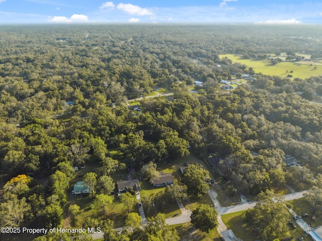 33399 Ohio Ave, Dade City, FL 33523 - photo 34