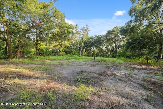 33399 Ohio Ave, Dade City, FL 33523 - photo 30