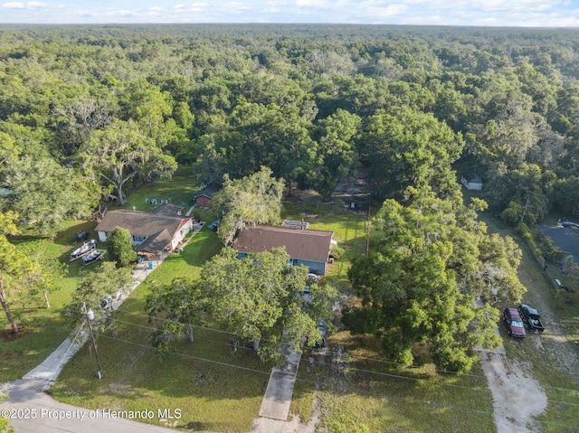 33399 Ohio Ave, Dade City, FL 33523 - photo 35